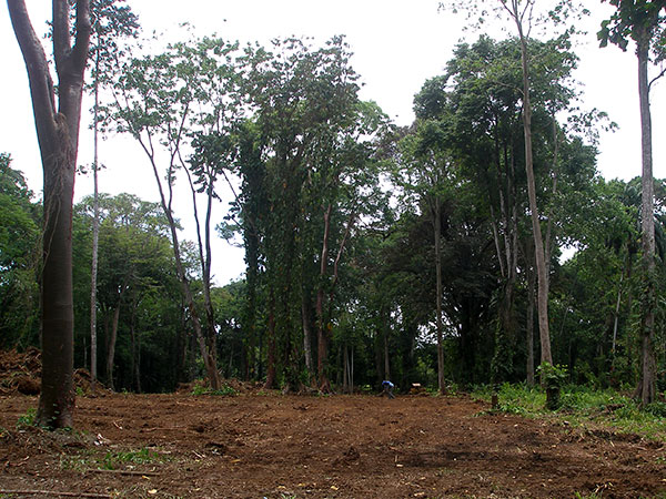 description