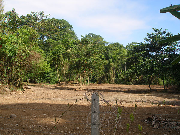description